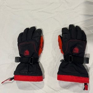 Hestra Ski Gloves